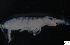  ( - FINCO-2020-0208)  @11 [ ] by-nc (2021) Inkeri Markkula University of Turku