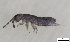  ( - FINCO-2020-0218)  @11 [ ] by-nc (2021) Inkeri Markkula University of Turku