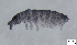  ( - FINCO-2020-0286)  @11 [ ] by-nc (2021) Inkeri Markkula University of Turku