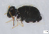  ( - FINCO-2020-0290)  @11 [ ] by-nc (2021) Inkeri Markkula University of Turku