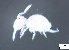  ( - FINCO-2020-0298)  @11 [ ] by-nc (2021) Inkeri Markkula University of Turku