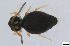  ( - FINCO-2020-0305)  @11 [ ] by-nc (2021) Inkeri Markkula University of Turku