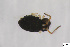  ( - FINCO-2020-0325)  @11 [ ] CreativeCommons - Attribution Share-Alike (2021) Unspecified University of Turku, Zoological Museum