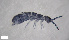  ( - FINCO-2020-0345)  @11 [ ] by-nc (2021) Inkeri Markkula University of Turku