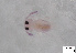  ( - FINCO-2020-0350)  @11 [ ] by-nc (2021) Inkeri Markkula University of Turku