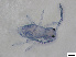  ( - FINCO-2020-0369)  @11 [ ] by-nc (2021) Inkeri Markkula University of Turku