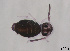  ( - FINCO-2020-0401)  @11 [ ] by-nc (2021) Inkeri Markkula University of Turku