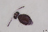  ( - FINCO-2020-0404)  @11 [ ] by-nc (2021) Inkeri Markkula University of Turku