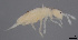  ( - FINCO-2020-0473)  @11 [ ] by-nc (2021) Inkeri Markkula University of Turku