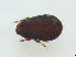  ( - FINOR-20120194)  @11 [ ] Copyright (2012) R. Penttinen Zoological Museum, University of Turku