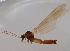  ( - JES-20120001)  @12 [ ] Unspecified (default): All Rights Reserved  Unspecified Unspecified