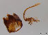  ( - JES-20120024)  @12 [ ] Unspecified (default): All Rights Reserved  Unspecified Unspecified