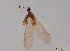  ( - JES-20120040)  @12 [ ] Unspecified (default): All Rights Reserved  Unspecified Unspecified