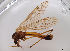  ( - JES-20120043)  @13 [ ] Unspecified (default): All Rights Reserved  Unspecified Unspecified