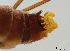  ( - JES-20120084)  @12 [ ] Unspecified (default): All Rights Reserved  Unspecified Unspecified