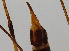  ( - JES-20120093)  @12 [ ] Unspecified (default): All Rights Reserved  Unspecified Unspecified