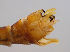  ( - JES-20120098)  @12 [ ] Unspecified (default): All Rights Reserved  Unspecified Unspecified