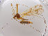  ( - JES-20120100)  @12 [ ] Unspecified (default): All Rights Reserved  Unspecified Unspecified