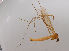  ( - JES-20120119)  @12 [ ] Unspecified (default): All Rights Reserved  Unspecified Unspecified