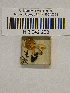  ( - H6042223)  @11 [ ] CreativeCommons - Attribution Non-Commercial Share-Alike (2013) Balint Dima Botanical Museum, Finnish Museum of Natural History, University of Helsinki