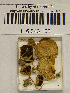  ( - H6043102)  @11 [ ] CreativeCommons - Attribution Non-Commercial Share-Alike (2013) Balint Dima Botanical Museum, Finnish Museum of Natural History, University of Helsinki