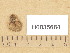  ( - H6035684)  @11 [ ] Copyright (2013) Diana Weckman Botanical Museum, Finnish Museum of Natural History, University of Helsinki