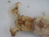  ( - JI-BOLD-25)  @12 [ ] Unspecified (default): All Rights Reserved  Unspecified Unspecified