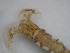  ( - JI-BOLD-58)  @12 [ ] Unspecified (default): All Rights Reserved  Unspecified Unspecified