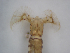  ( - JI-BOLD-60)  @12 [ ] Unspecified (default): All Rights Reserved  Unspecified Unspecified