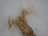  ( - JI-BOLD-60)  @12 [ ] Unspecified (default): All Rights Reserved  Unspecified Unspecified