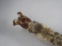  ( - JI-BOLD-193)  @12 [ ] Unspecified (default): All Rights Reserved  Unspecified Unspecified