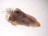  ( - JI-BOLD-308)  @12 [ ] Unspecified (default): All Rights Reserved  Unspecified Unspecified