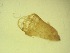  ( - JI-BOLD-308)  @12 [ ] Unspecified (default): All Rights Reserved  Unspecified Unspecified
