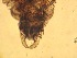 ( - JI-BOLD-308)  @12 [ ] Unspecified (default): All Rights Reserved  Unspecified Unspecified