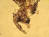  ( - JI-BOLD-308)  @12 [ ] Unspecified (default): All Rights Reserved  Unspecified Unspecified