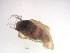  ( - JI-BOLD-311)  @12 [ ] Unspecified (default): All Rights Reserved  Unspecified Unspecified
