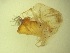  ( - JI-BOLD-312)  @12 [ ] Unspecified (default): All Rights Reserved  Unspecified Unspecified