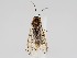  ( - ZMUO.058698)  @11 [ ] by-nc (2022) Marko Mutanen University of Oulu