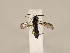  ( - ZMUO.028230.1)  @12 [ ] CreativeCommons - Attribution Non-Commercial (2018) Marko Mutanen University of Oulu