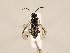 ( - ZMUO.028393.1)  @12 [ ] CreativeCommons - Attribution Non-Commercial (2018) Marko Mutanen University of Oulu