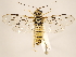  ( - ZMUO.029380.1)  @14 [ ] CreativeCommons - Attribution Non-Commercial (2018) Marko Mutanen University of Oulu