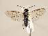  ( - ZMUO.029676.1)  @14 [ ] CreativeCommons - Attribution Non-Commercial (2018) Marko Mutanen University of Oulu