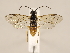  ( - ZMUO.029695.1)  @11 [ ] CreativeCommons - Attribution Non-Commercial (2018) Marko Mutanen University of Oulu
