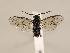  ( - ZMUO.029723.1)  @13 [ ] CreativeCommons - Attribution Non-Commercial (2018) Marko Mutanen University of Oulu