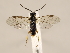  ( - ZMUO.029729.1)  @11 [ ] CreativeCommons - Attribution Non-Commercial (2018) Marko Mutanen University of Oulu