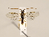  ( - ZMUO.030891)  @13 [ ] CreativeCommons - Attribution Non-Commercial (2018) Marko Mutanen University of Oulu