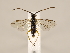 ( - ZMUO.030894)  @13 [ ] CreativeCommons - Attribution Non-Commercial (2018) Marko Mutanen University of Oulu