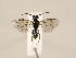  ( - ZMUO.030919)  @13 [ ] CreativeCommons - Attribution Non-Commercial (2018) Marko Mutanen University of Oulu
