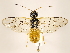  ( - ZMUO.030966)  @12 [ ] CreativeCommons - Attribution Non-Commercial (2018) Marko Mutanen University of Oulu