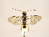  ( - ZMUO.030967)  @12 [ ] CreativeCommons - Attribution Non-Commercial (2018) Marko Mutanen University of Oulu